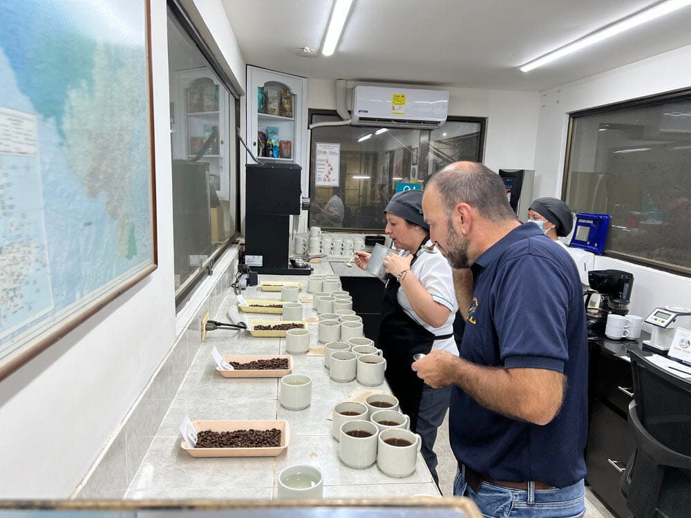 people testing coffee beans