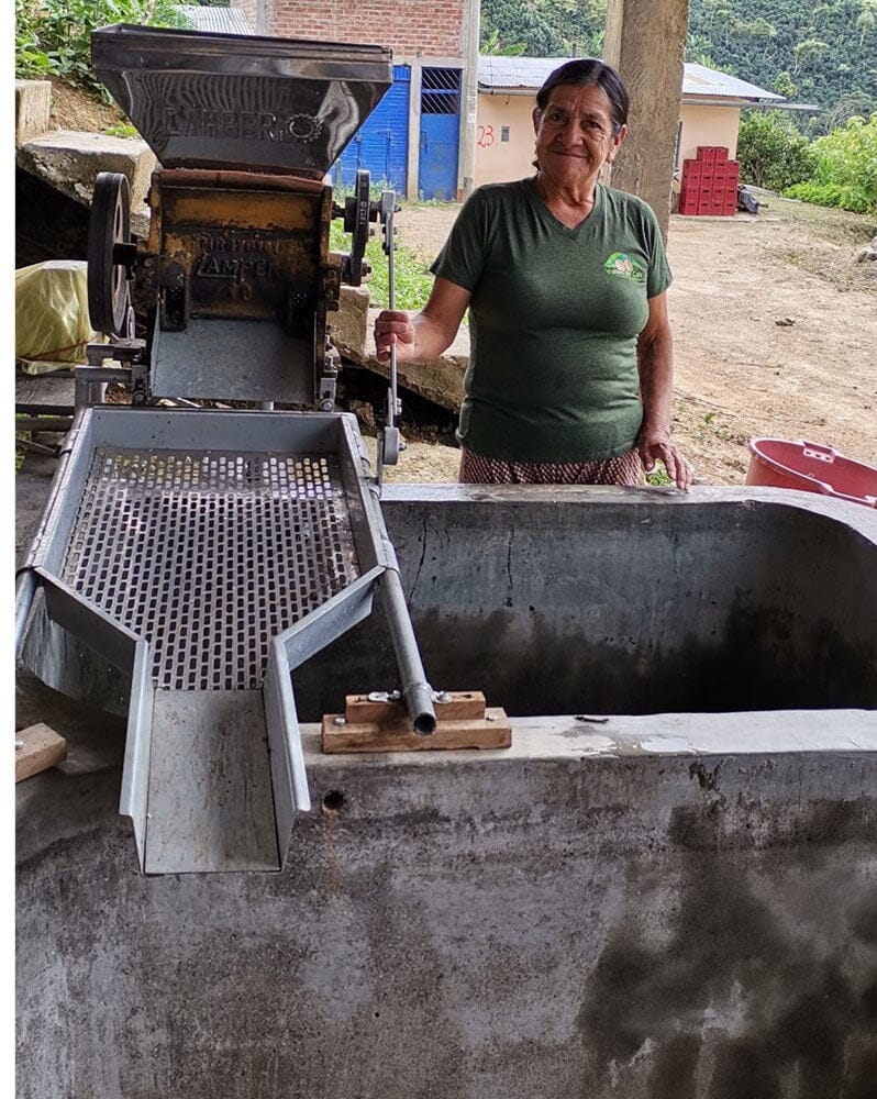 lady getting a machine ready for coffee drying