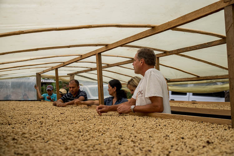 a video of people looking at a bunch of coffee beans
