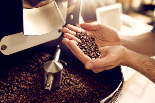 a person picking up a bunch of coffee beans from a grinder