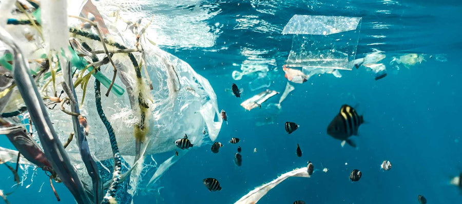 Raising Awareness About Single-Use Plastics - image of plastic floating in water with fish