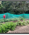 lady standing in front of a garden