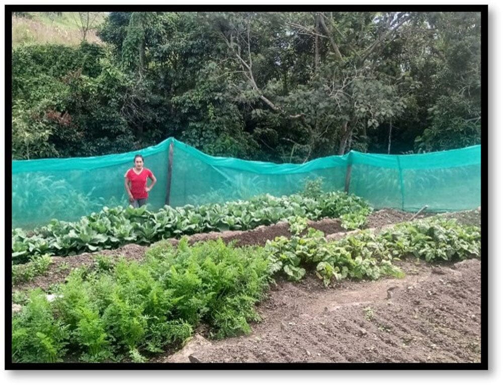 lady standing in front of a garden