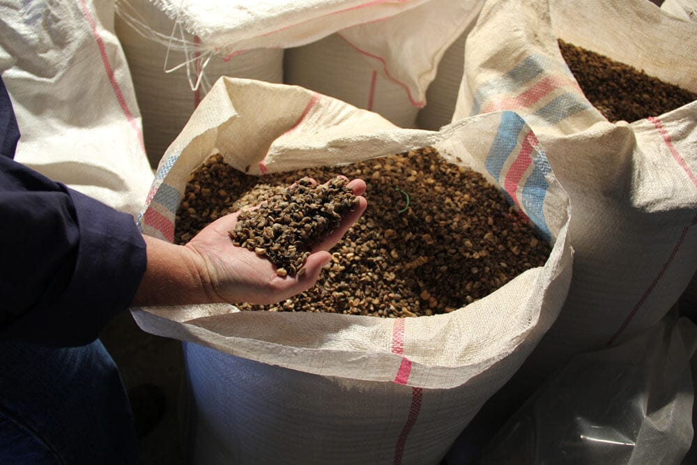 person scooping up coffee with their hands