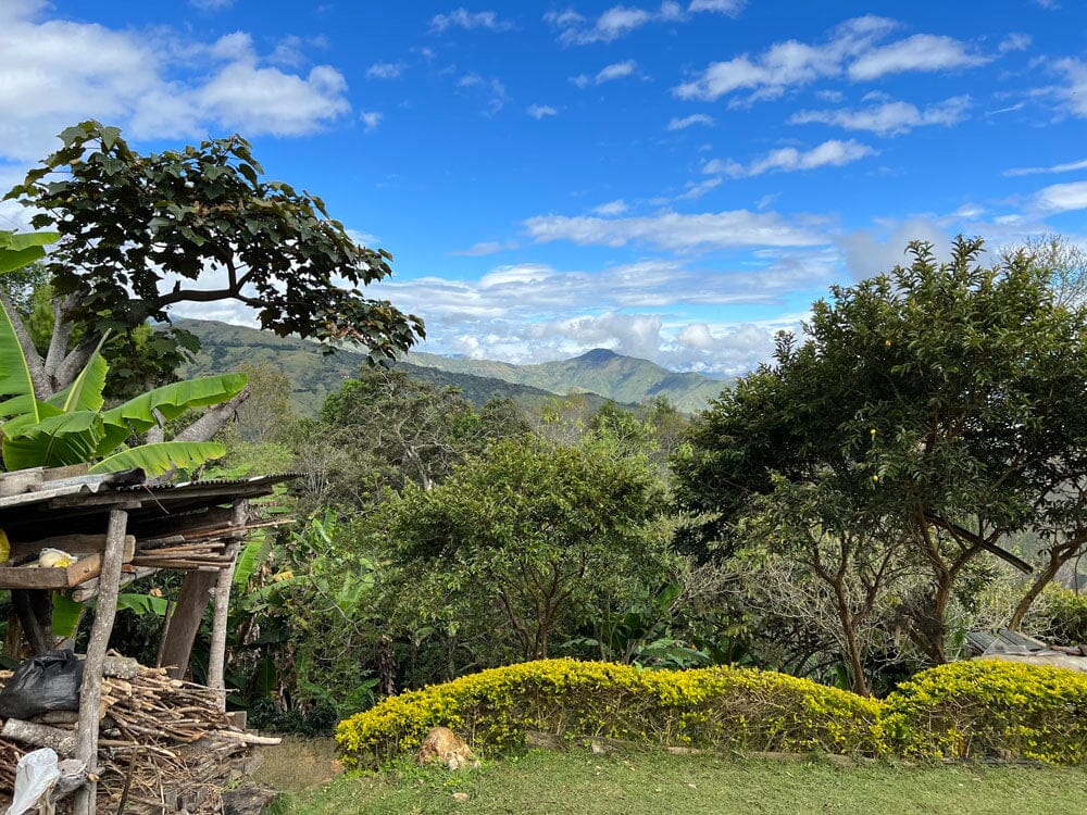a view of some mountains in columbia