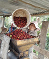 lady pouring coffee beans into a crusher