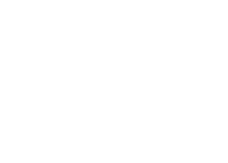 Fry's