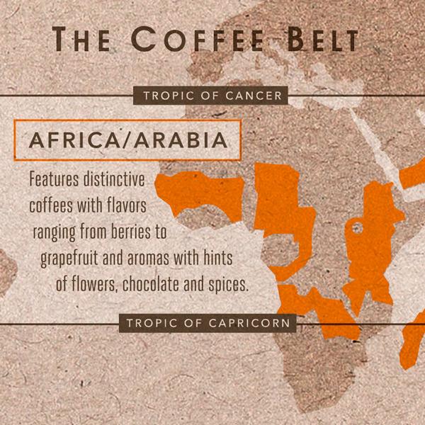 africa coffee information