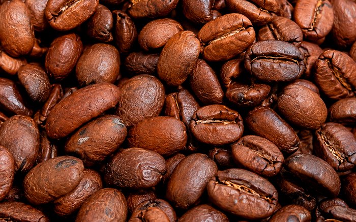 The Top 1% of Organic Beans